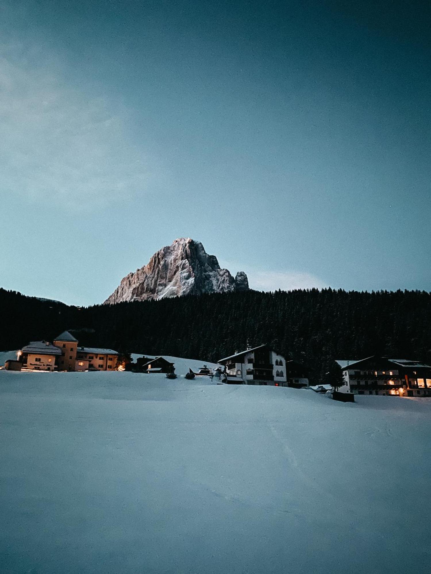 Mountain Chalet Pra Ronch Sëlva Buitenkant foto